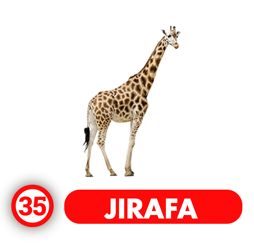 Jirafa