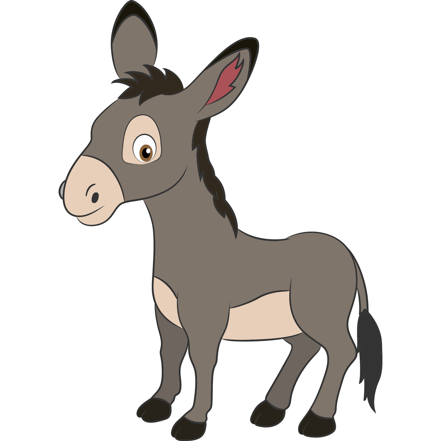 Burro