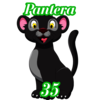 Pantera