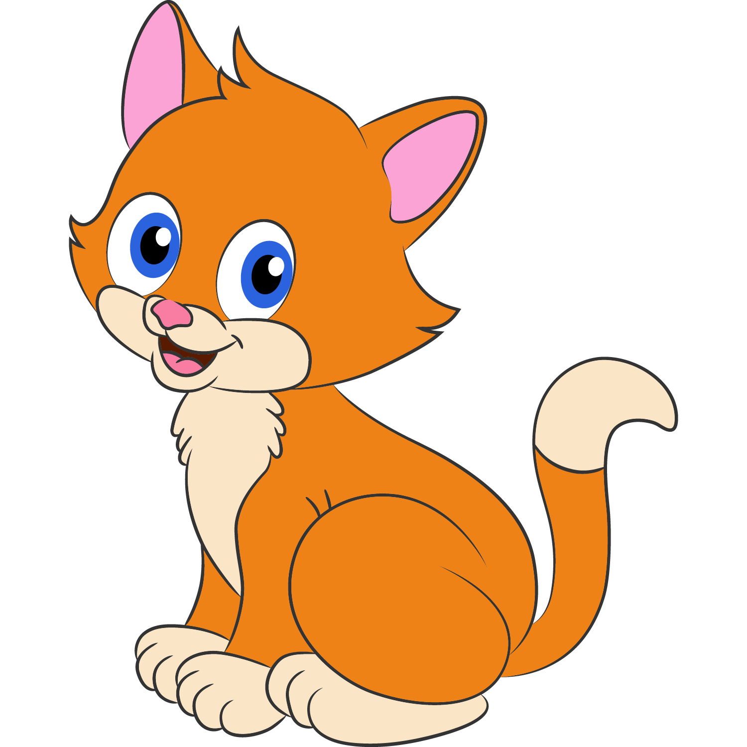 Gato
