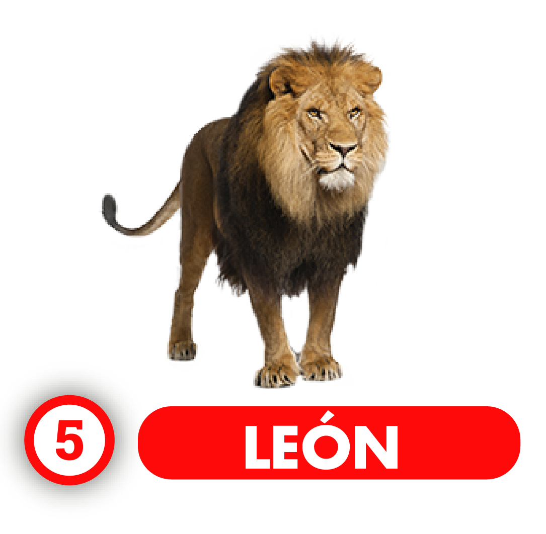 León