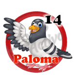 Paloma