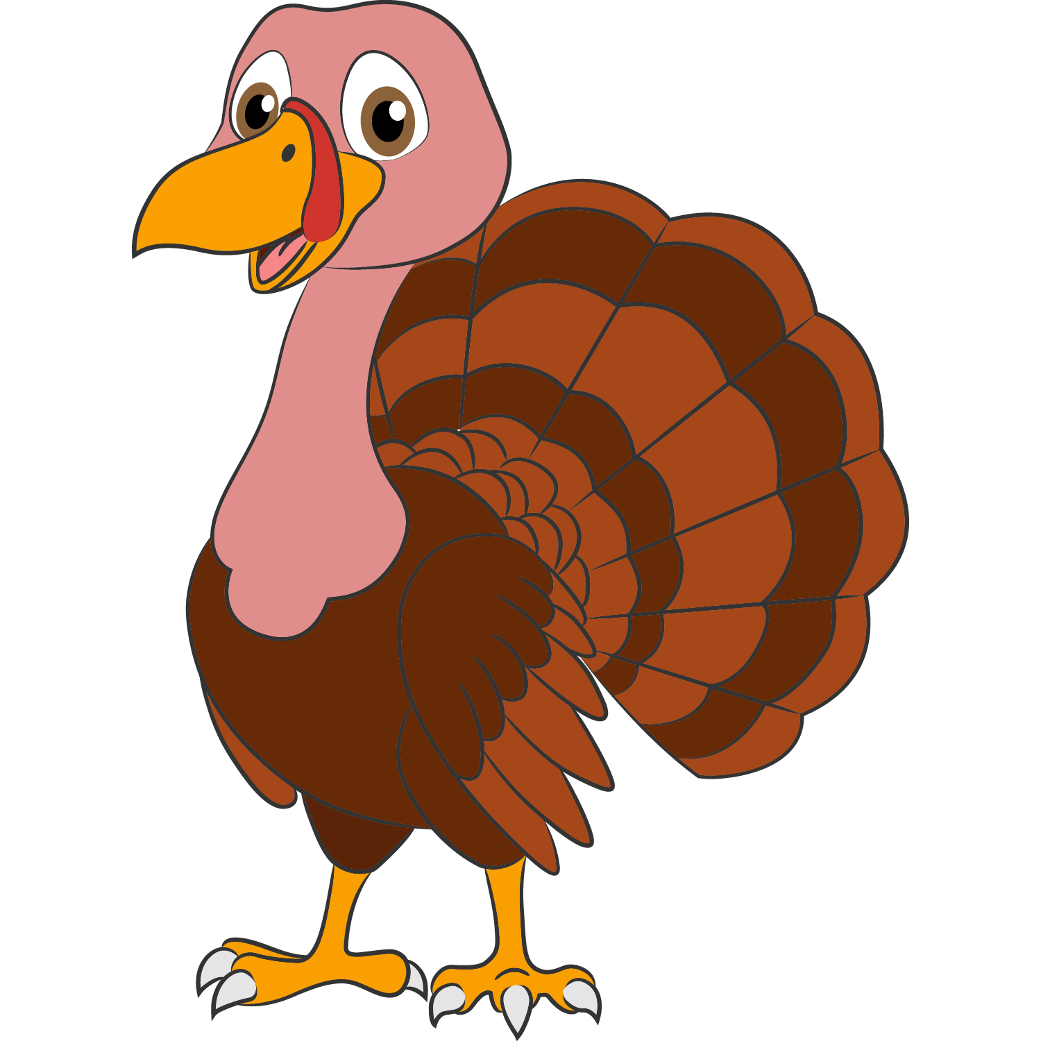 Pavo
